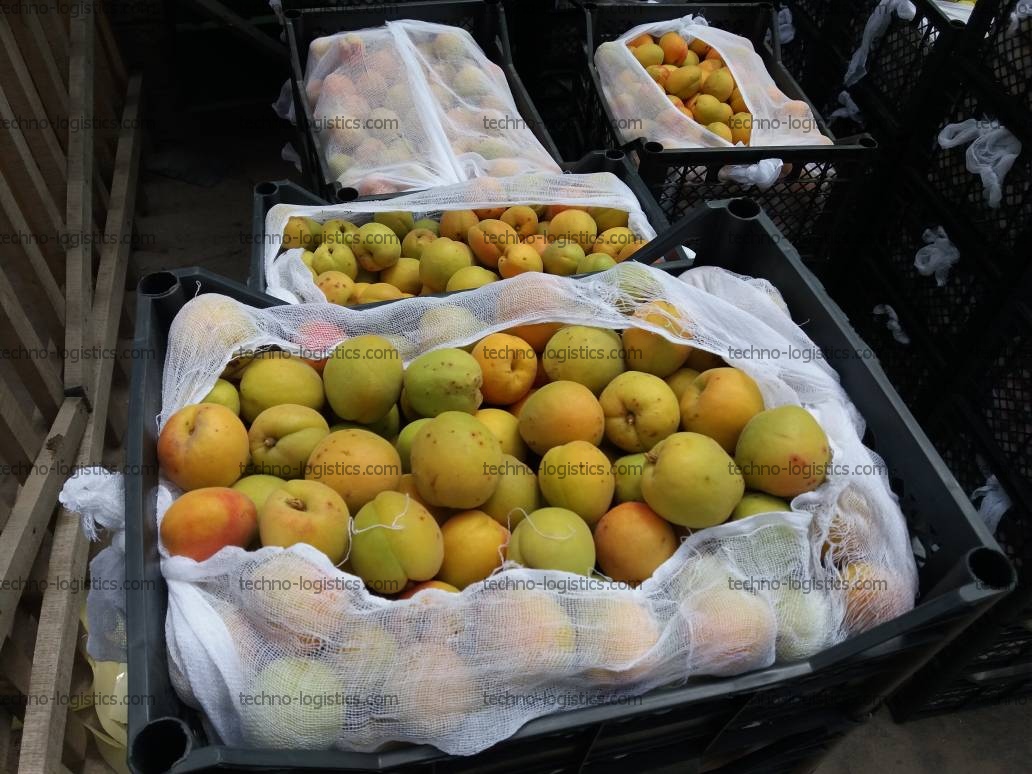 Доставка сезонных фруктов из Средней Азии