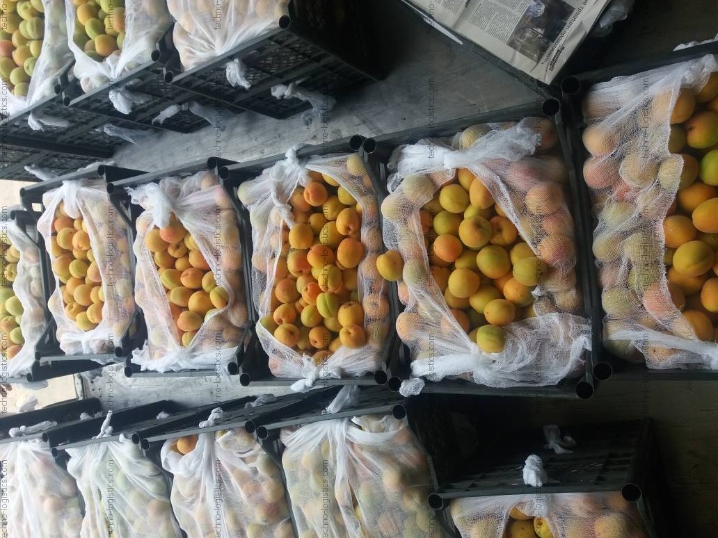 Доставка сезонных фруктов из Средней Азии